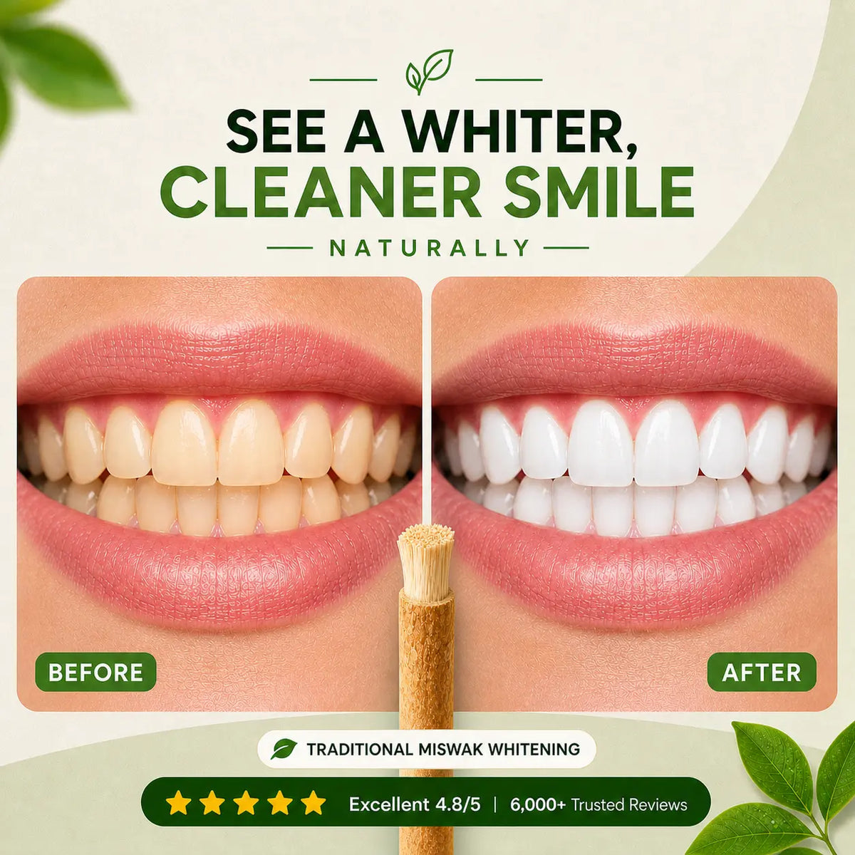 Organic Miswak Sticks - With Hygiene Packaging